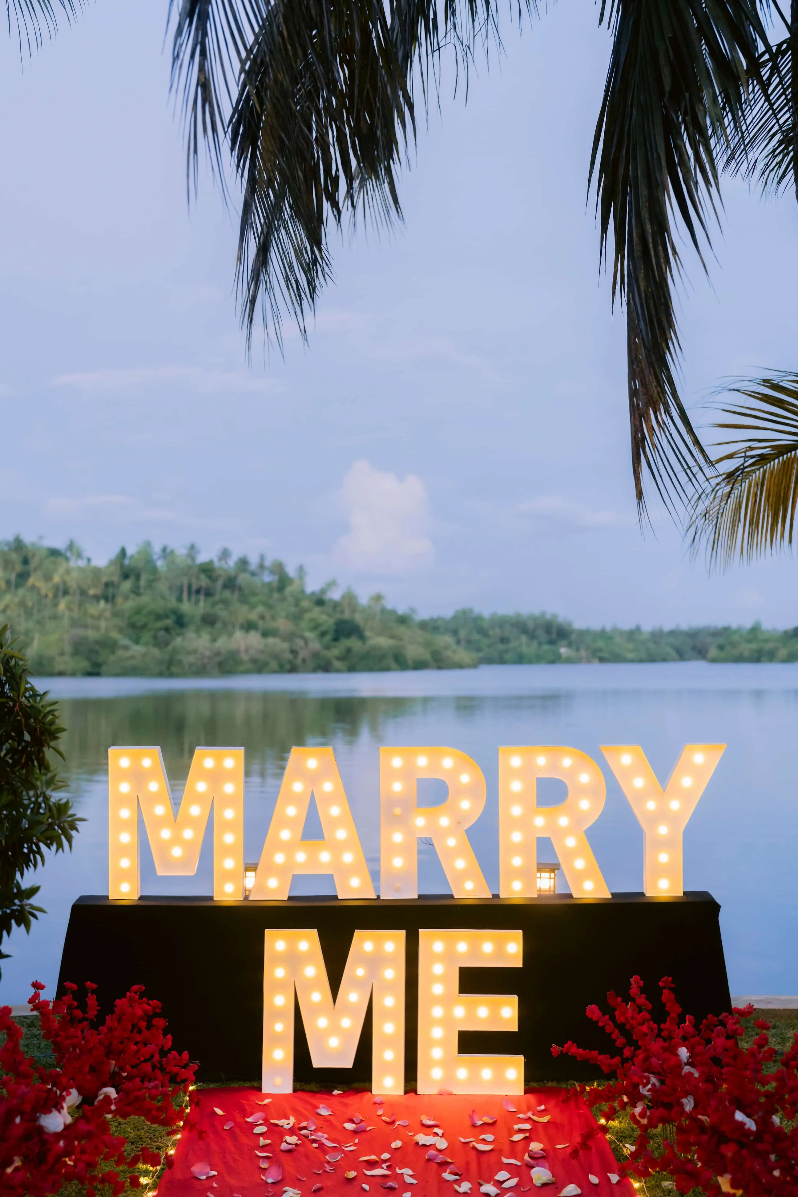 Anniversary Specials