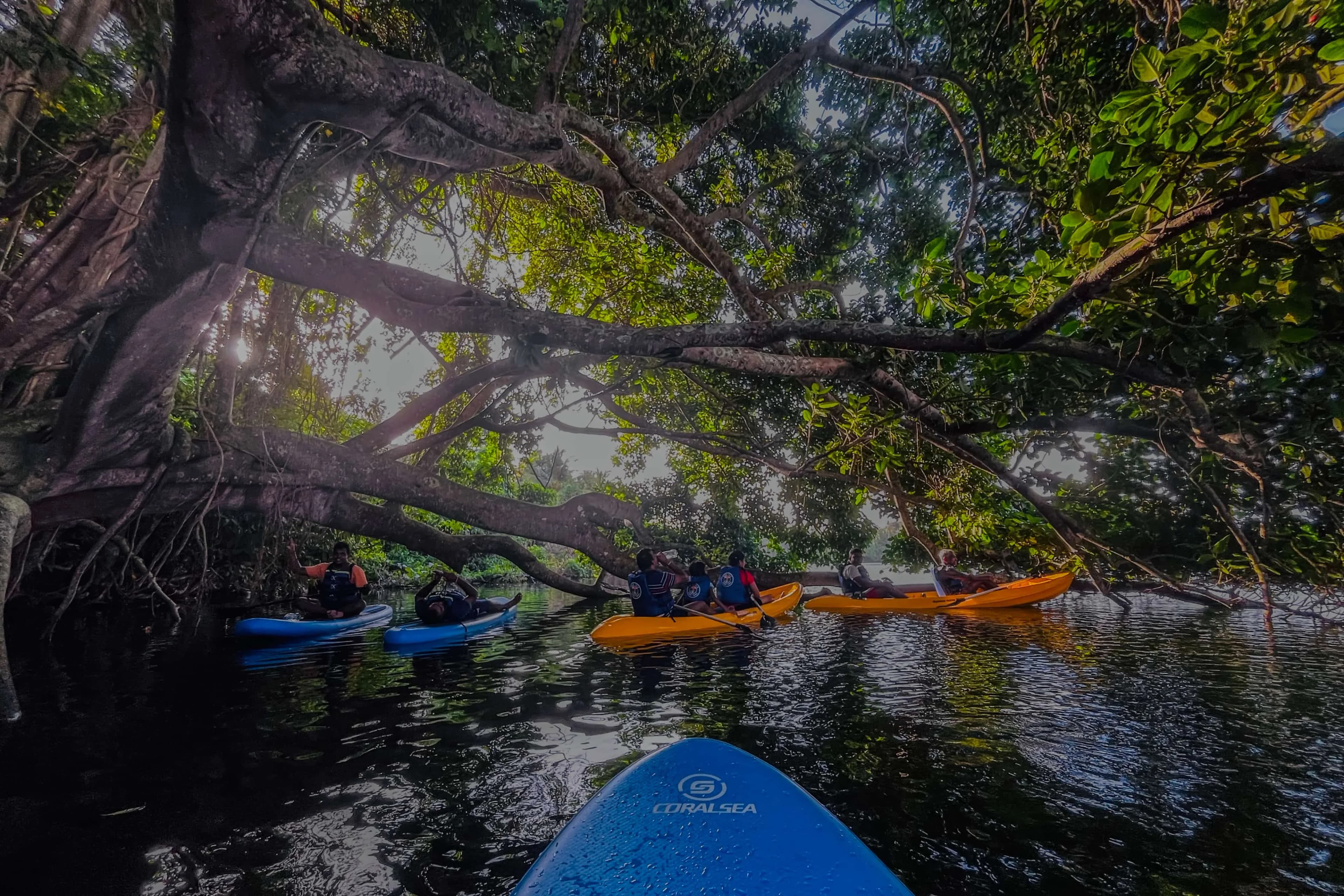 Explore Hidden Waters