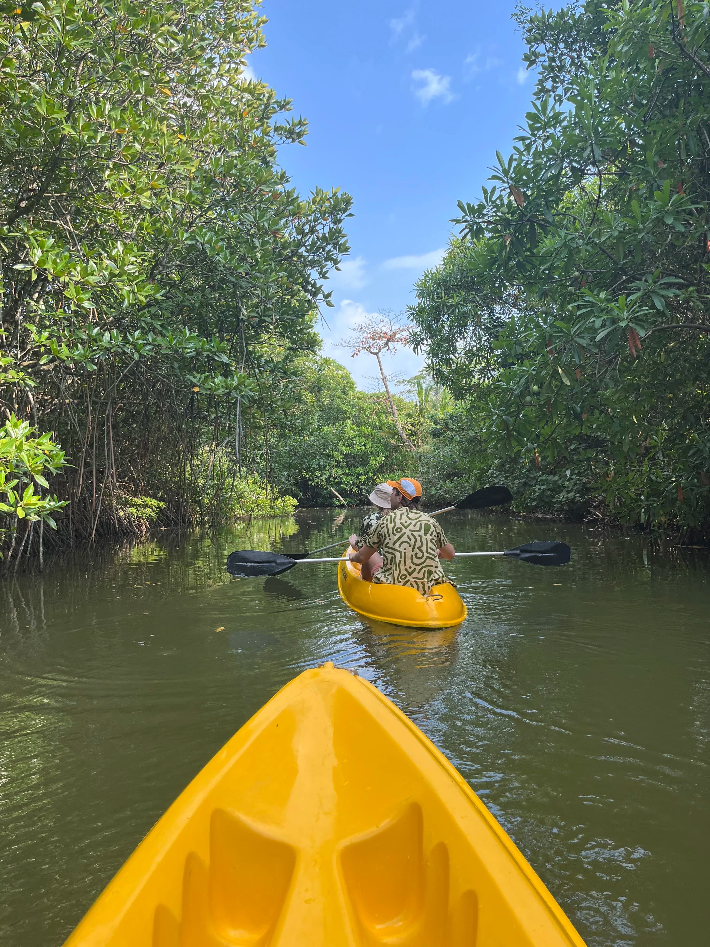 AquaTrek Lake House lakefront hostel view over Rathgama Lake, Hikkaduwa