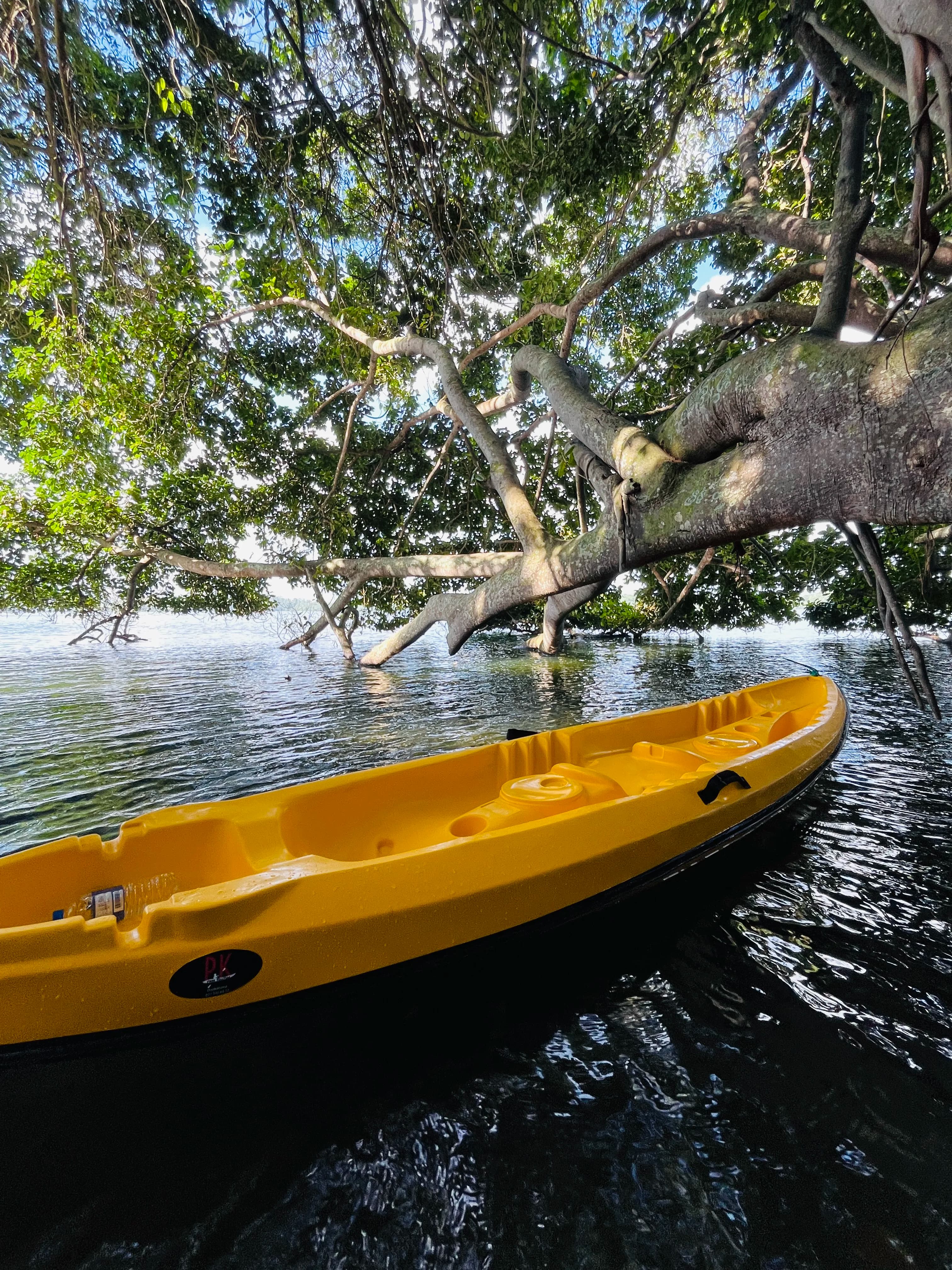 Sunset sky over Rathgama Lake — AquaTrek rooftop sunset deck in Hikkaduwa